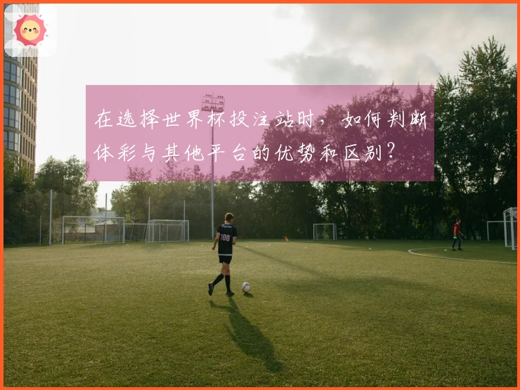 在选择世界杯投注站时，如何判断体彩与其他平台的优势和区别？