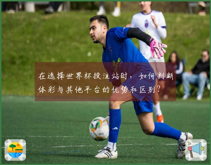 在选择世界杯投注站时，如何判断体彩与其他平台的优势和区别？