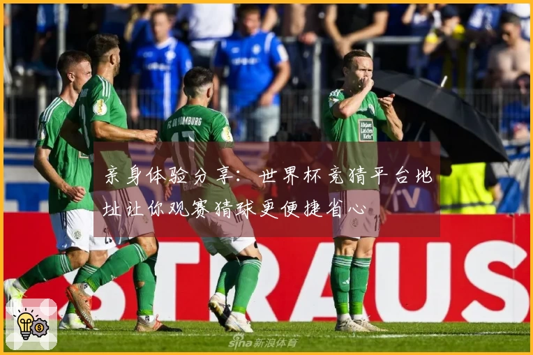 亲身体验分享：世界杯竞猜平台地址让你观赛猜球更便捷省心