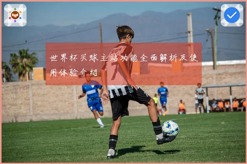 世界杯买球主站功能全面解析及使用体验介绍