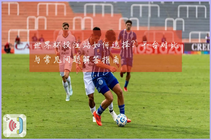 世界杯投注站如何选择?平台对比与常见问题解答指南