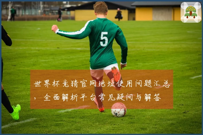 世界杯竞猜官网地址使用问题汇总，全面解析平台常见疑问与解答