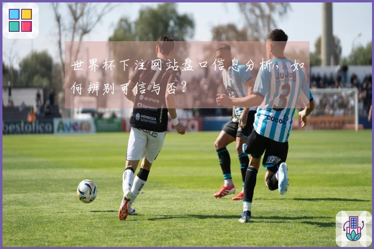 世界杯下注网站盘口信息分析，如何辨别可信与否？