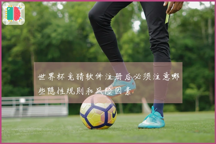 世界杯竞猜软件注册后必须注意哪些隐性规则和风险因素