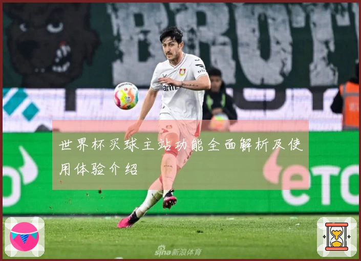 世界杯买球主站功能全面解析及使用体验介绍