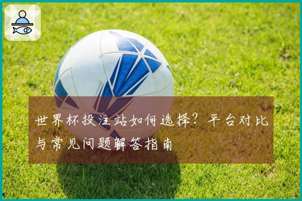 世界杯投注站如何选择？平台对比与常见问题解答指南