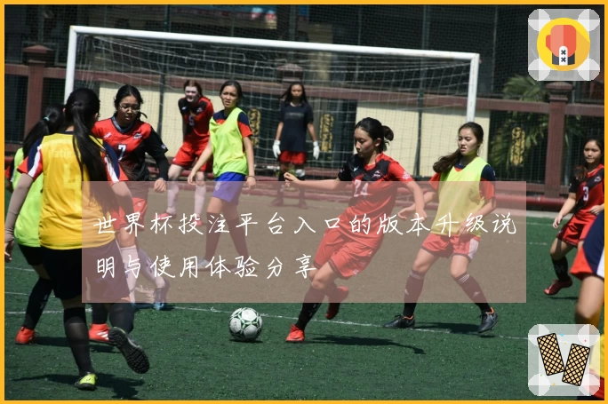 世界杯投注平台入口的版本升级说明与使用体验分享